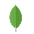 MongoDB