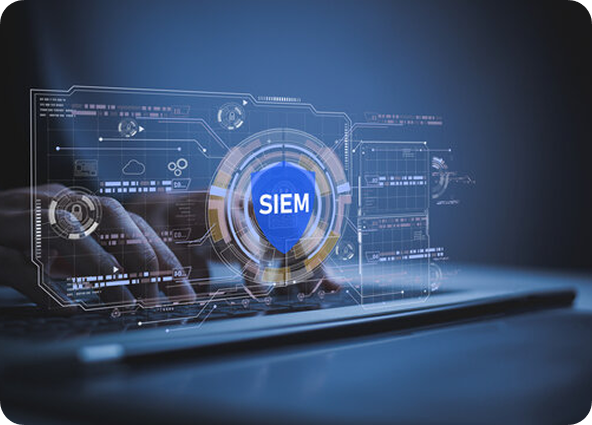 seim-solution